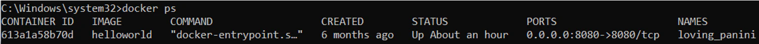Docker ps command showing running containers
