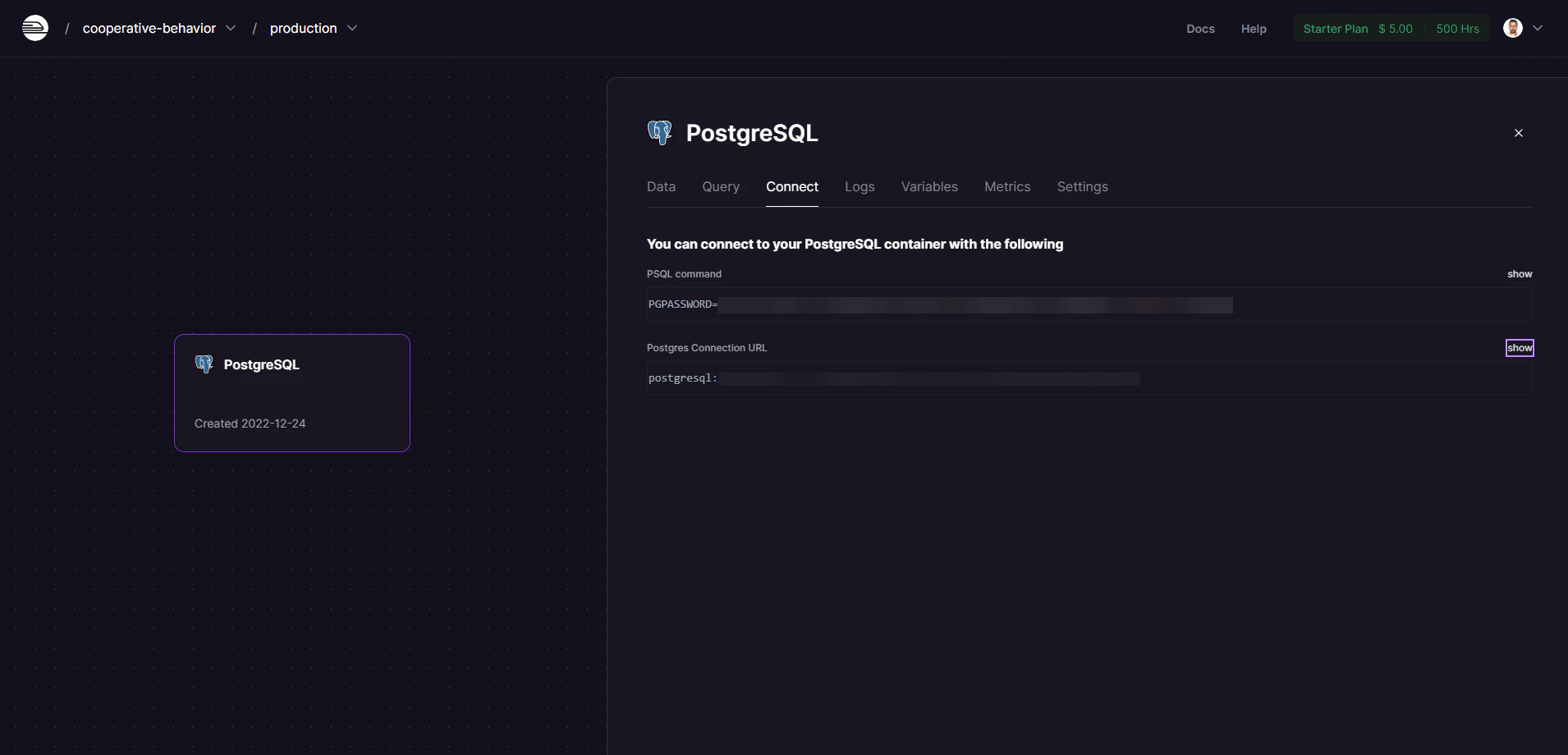 RedwoodJS database connection configuration