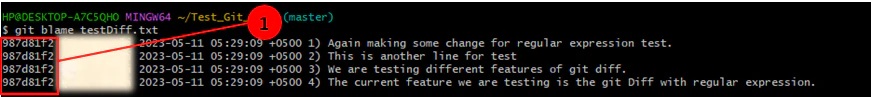 git blame output for testDiff.txt