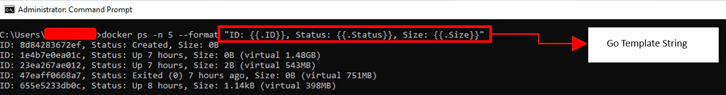 Formatted output including container size