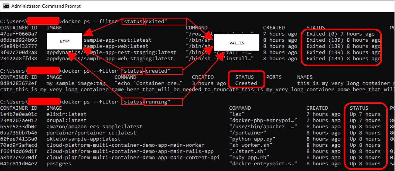 docker ps --filter status output