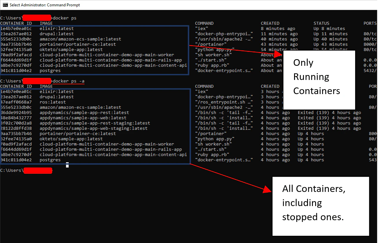 docker ps -a output listing all containers