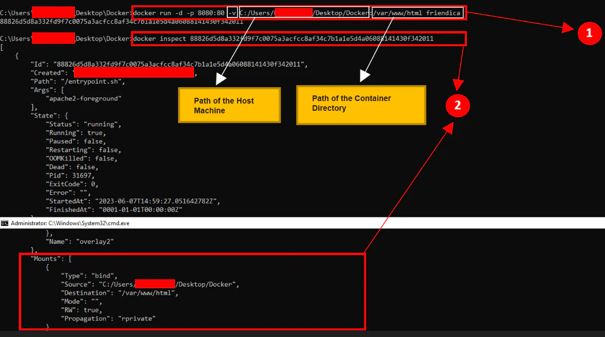 Docker run with -v option mounting host directory to container