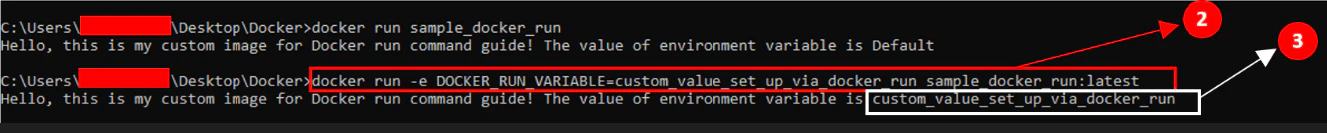 Docker run with -e option setting custom environment variable