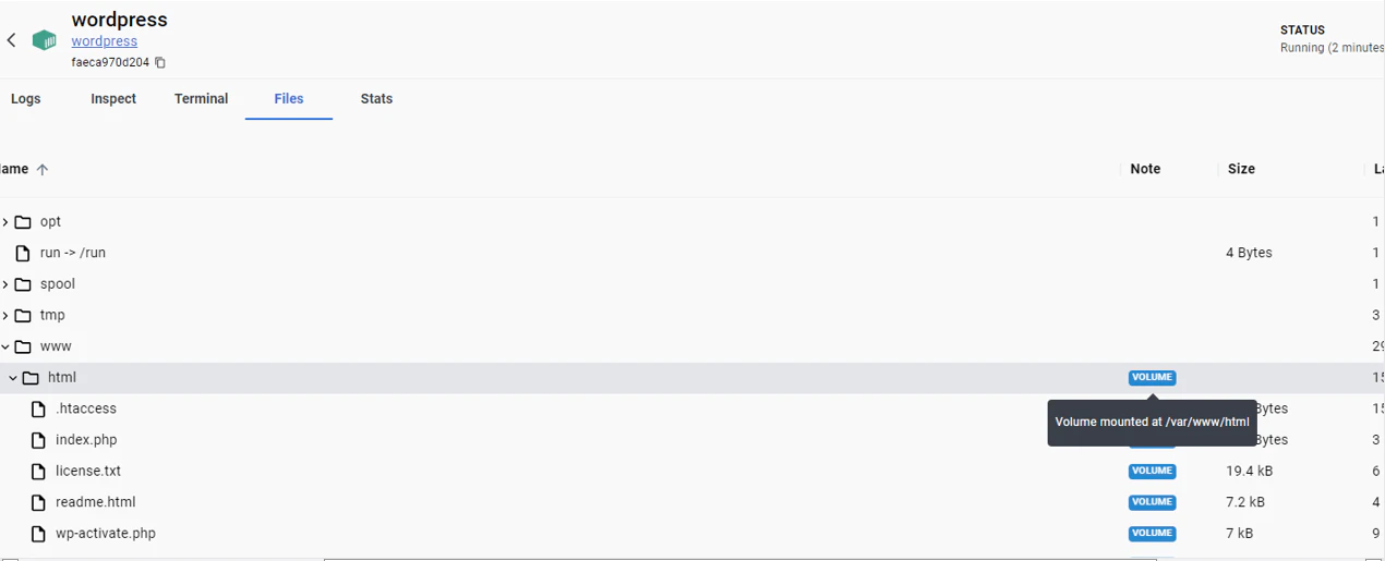 Terminal output confirming the volume mount in the running container
