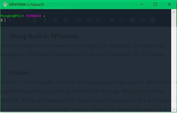 Git Bash terminal window