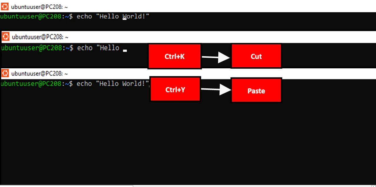 Bash cut and paste command editing example