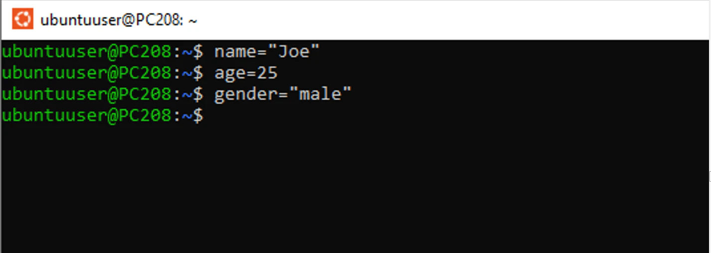 Bash variables example