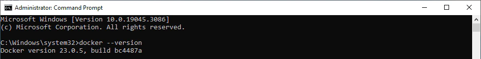 Docker version command output