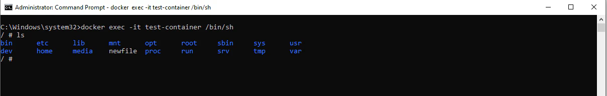 Docker exec accessing Alpine container shell interactively