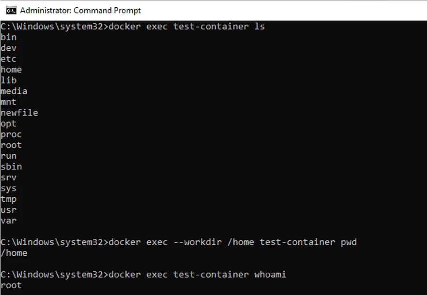 Docker exec running ls, pwd with --workdir, and whoami commands