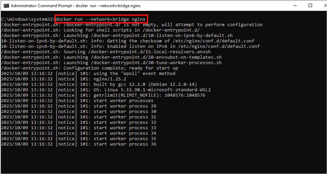 Docker run with bridge network creating container