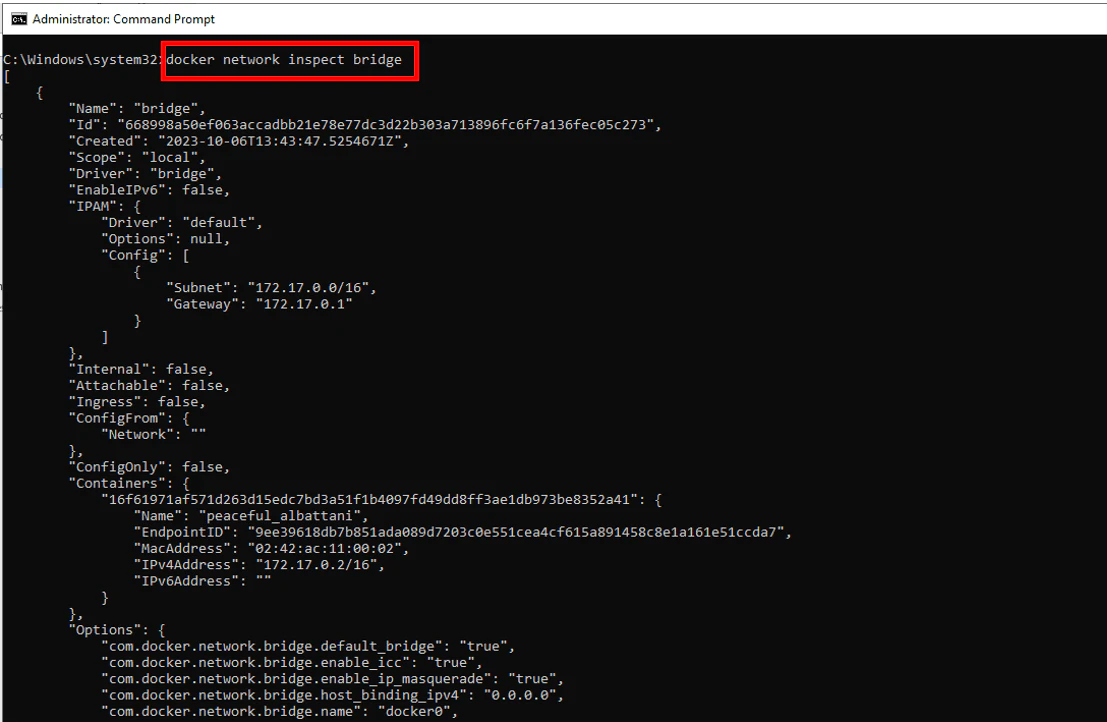 Docker network inspect showing bridge network details and containers