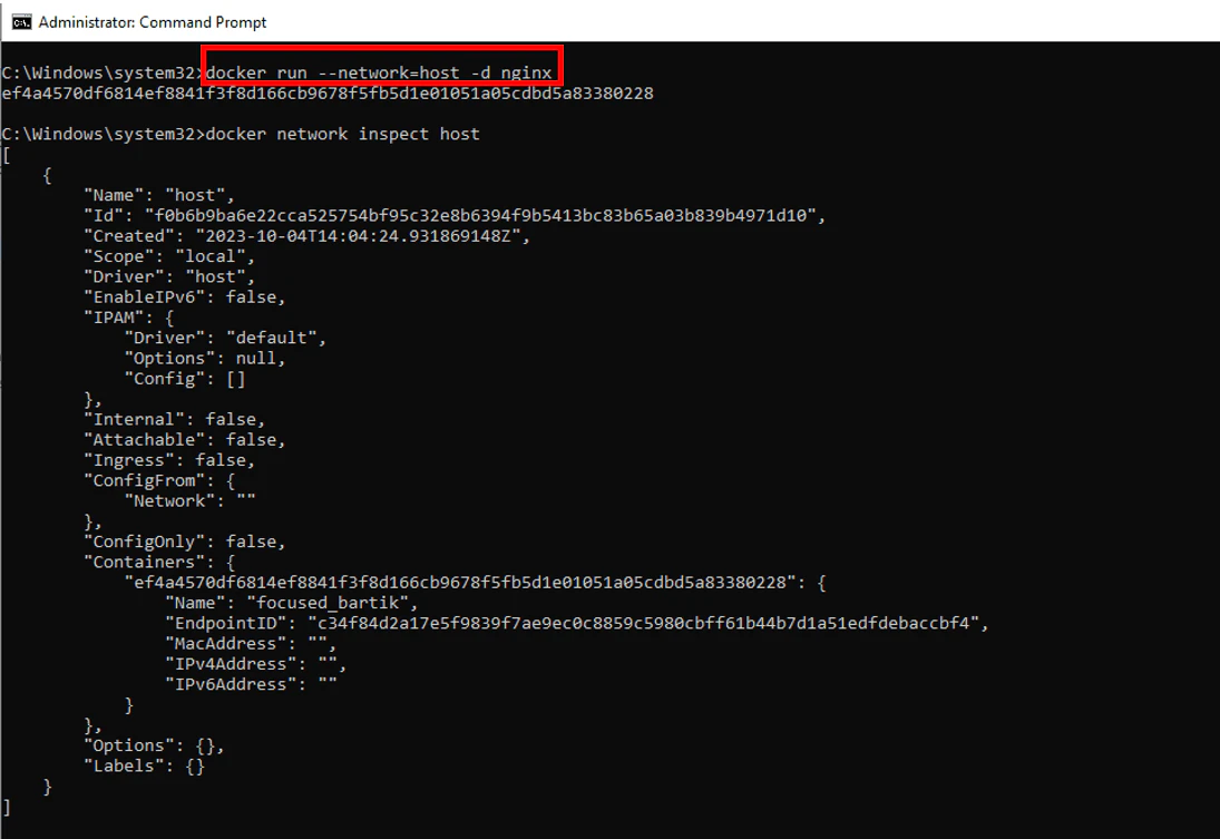 Docker run with host network mode creating nginx container