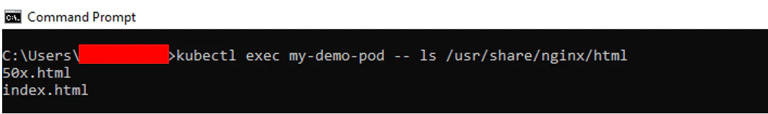 Listing nginx web root directory contents with kubectl exec ls command