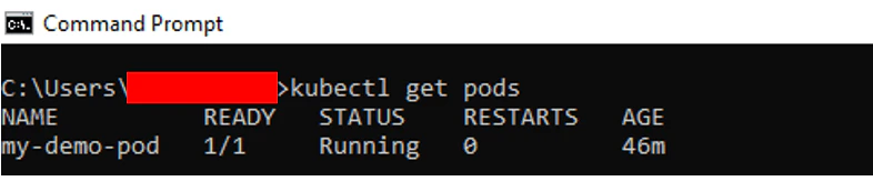 CrashLoopBackOff error status shown in kubectl get pods output