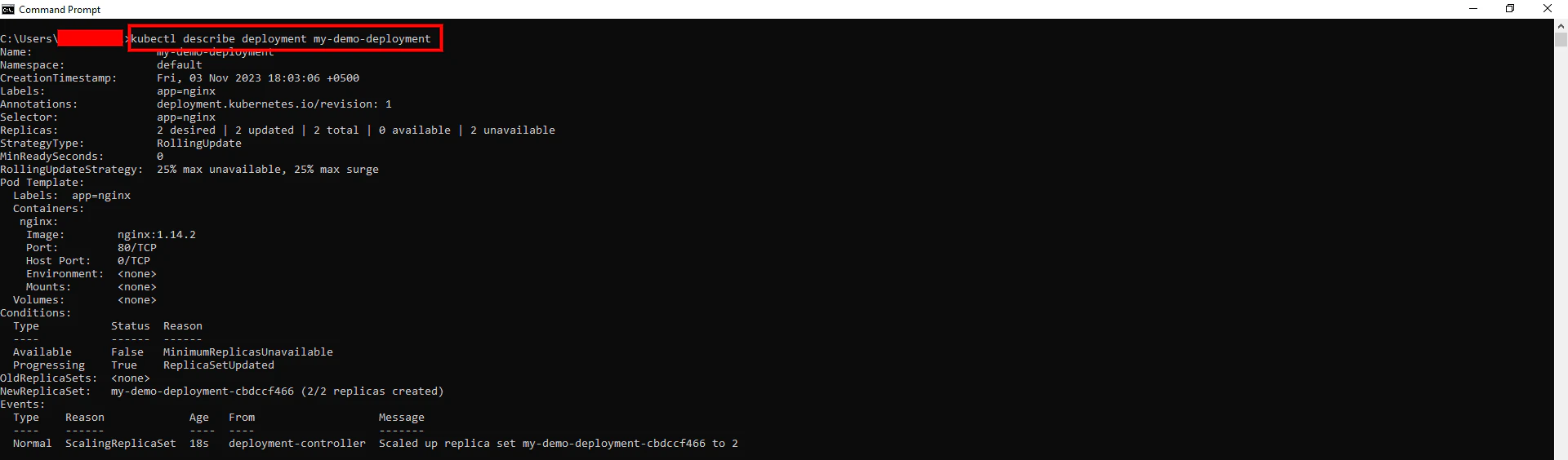 Deployment details showing labels, strategy, selector, and replicas for my-demo-deployment