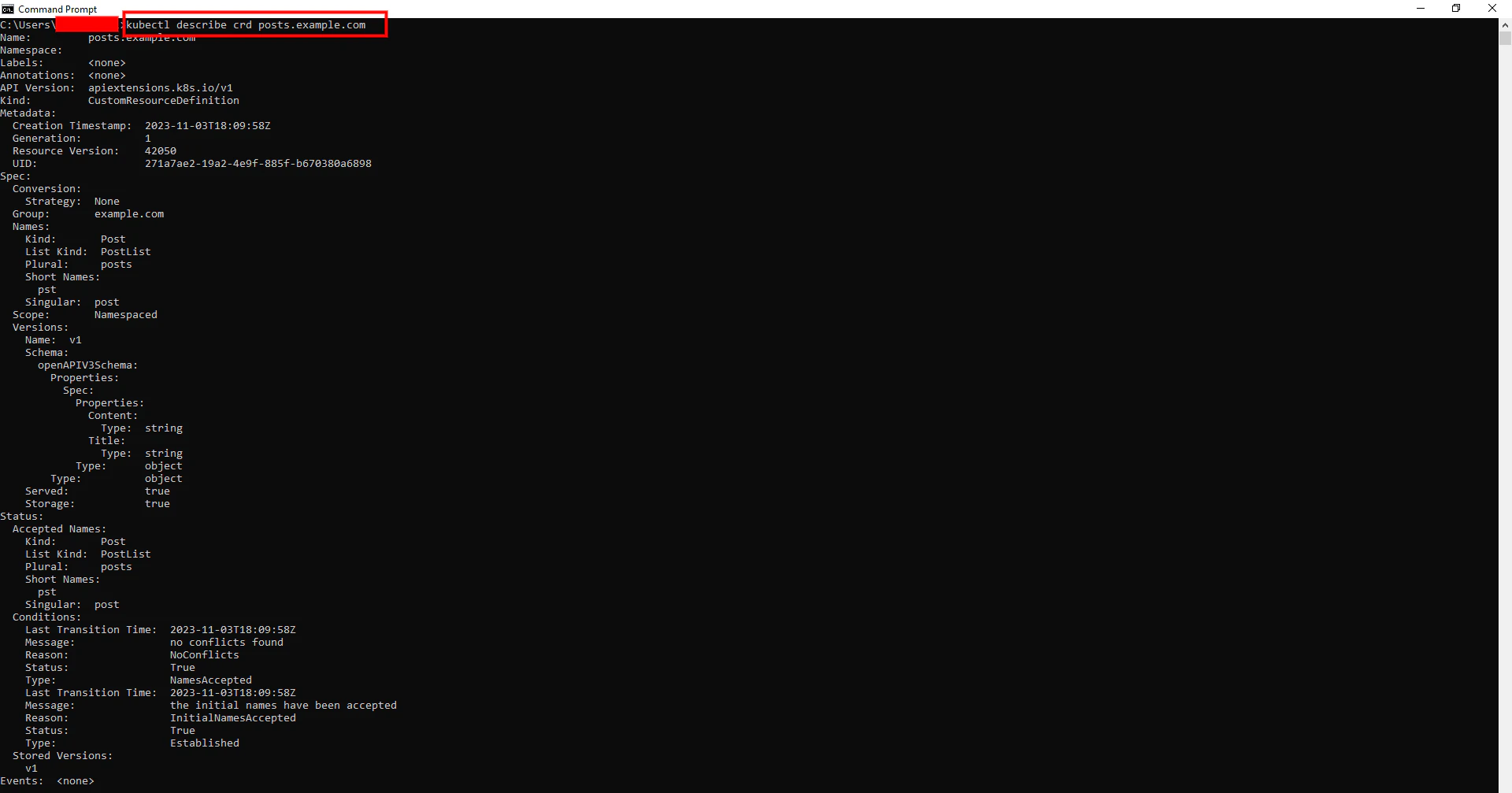 Custom Resource Definition description showing name, scope, version, and validation schema