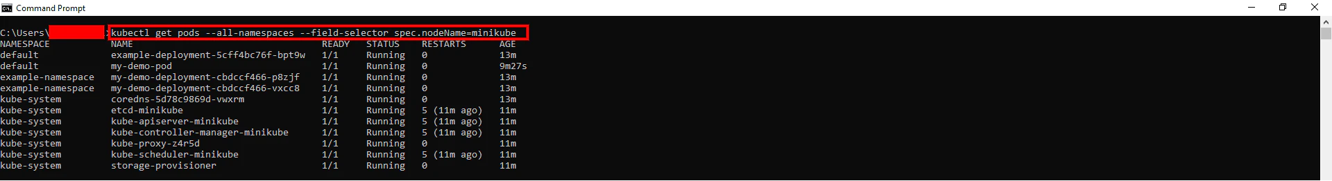 Listing pods on minikube node using field-selector