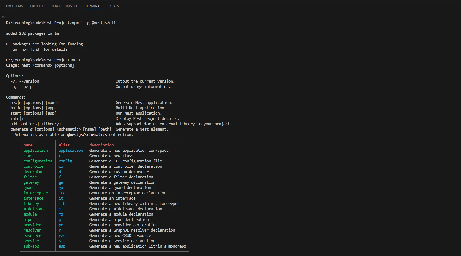 Snapshot of verifying nestcli installation