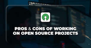 The Advantages and Disadvantages of Working on Open Source Projects
