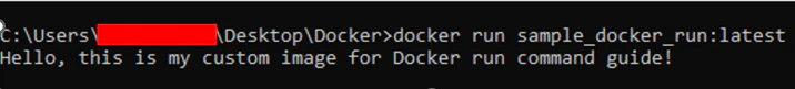 docker run command