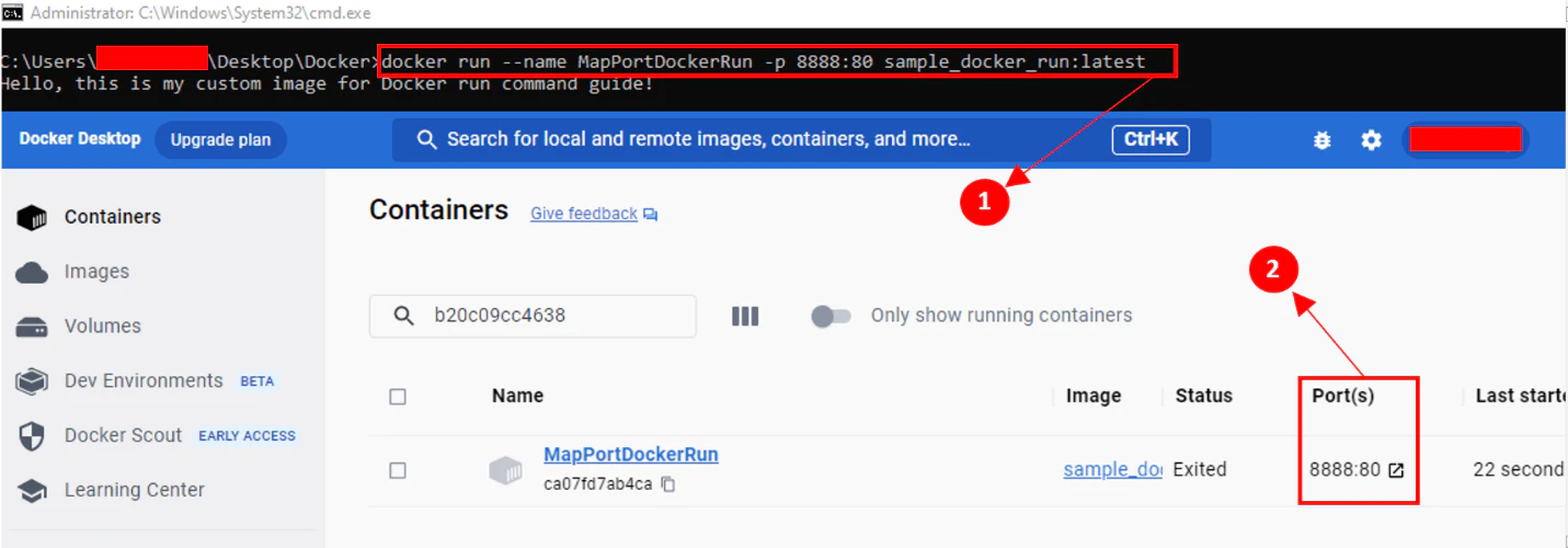 docker run command