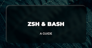 Zsh and Bash