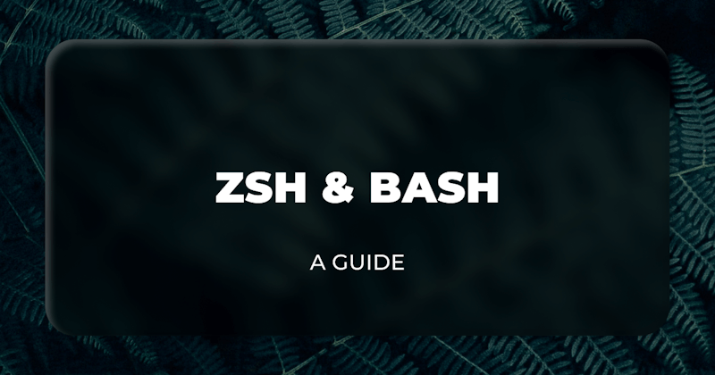 Zsh and Bash