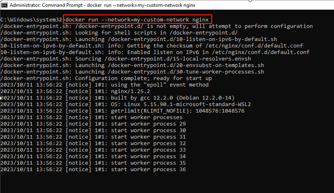 Docker run connecting nginx to custom bridge network
