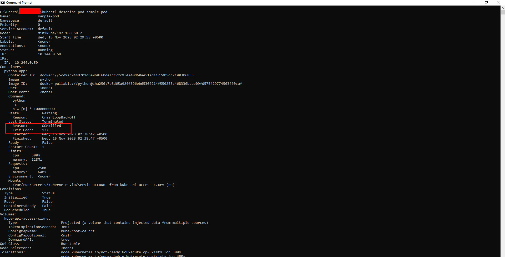 kubernetes exit code 137